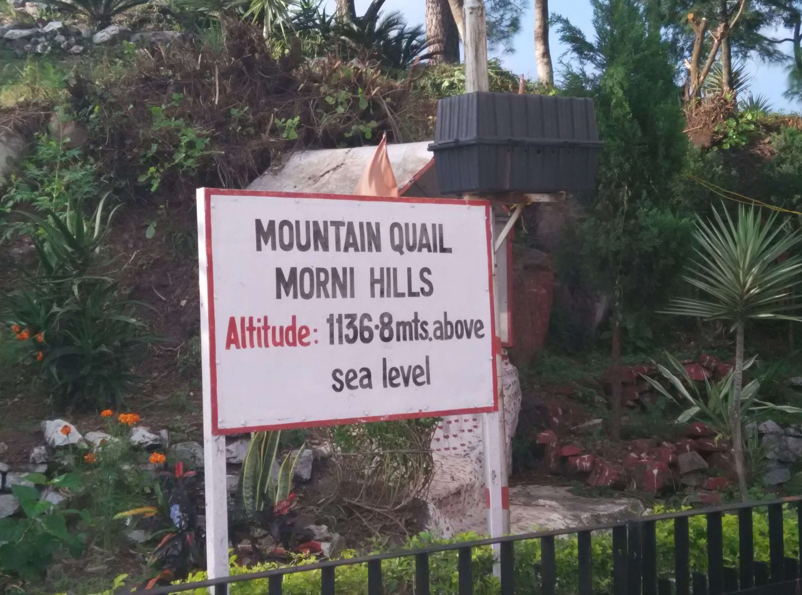 Morni Hills Taxi Service